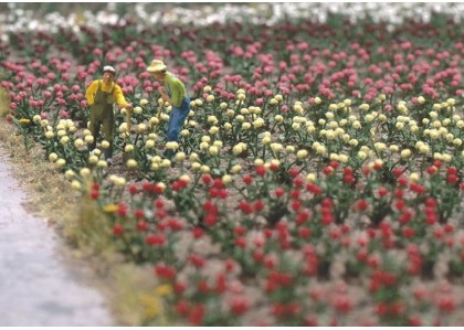 Set "trandafiri" - H0 Busch 1205